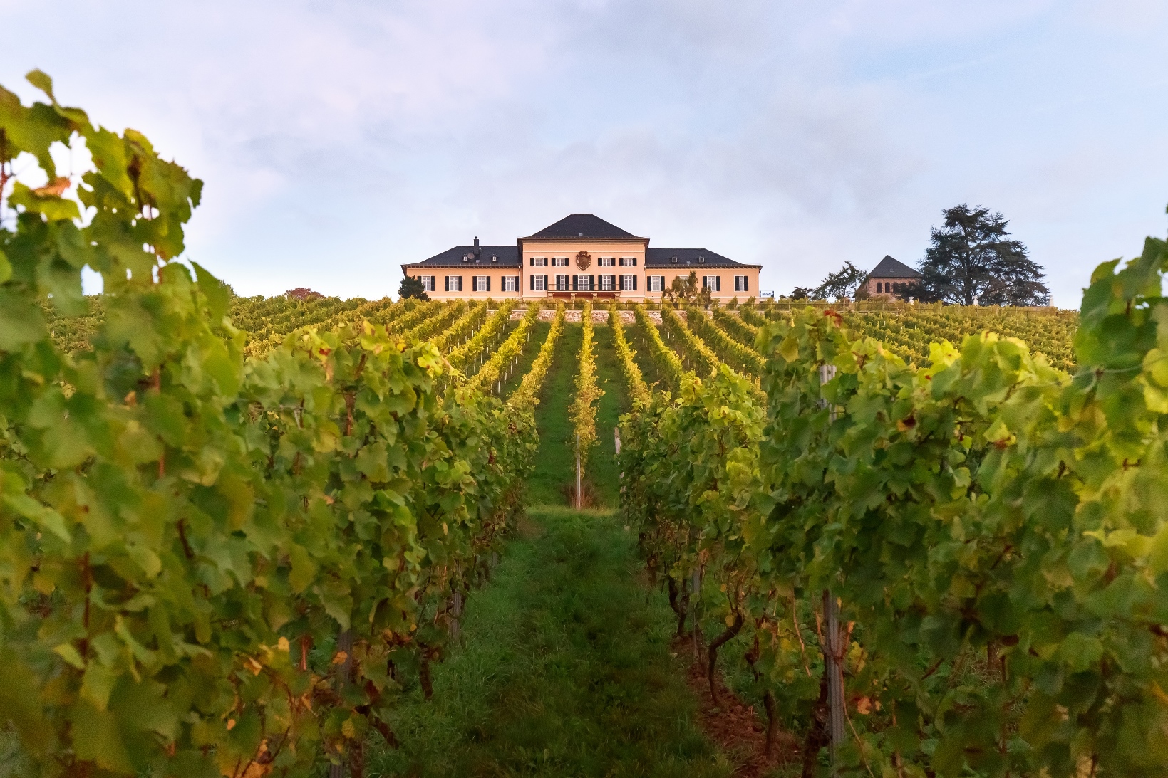 Schloss